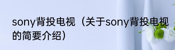 sony背投电视（关于sony背投电视的简要介绍）