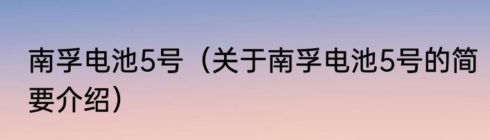 南孚电池5号（关于南孚电池5号的简要介绍）