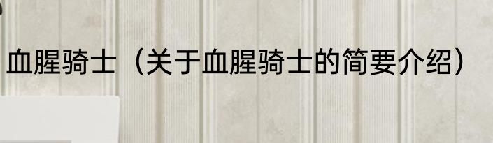 血腥骑士（关于血腥骑士的简要介绍）