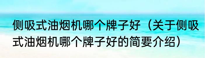 侧吸式油烟机哪个牌子好（关于侧吸式油烟机哪个牌子好的简要介绍）