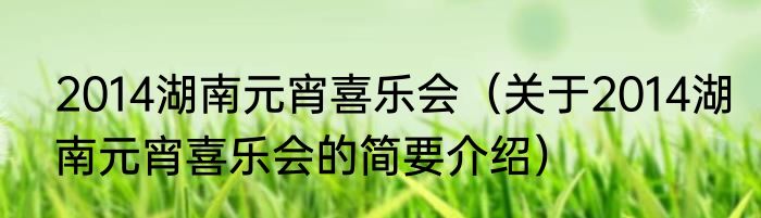2014湖南元宵喜乐会（关于2014湖南元宵喜乐会的简要介绍）