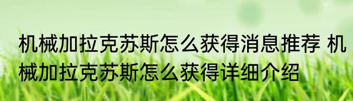 机械加拉克苏斯怎么获得消息推荐 机械加拉克苏斯怎么获得详细介绍