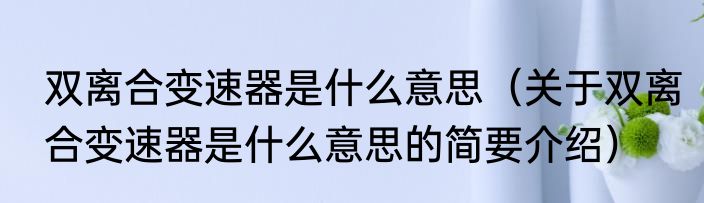 双离合变速器是什么意思（关于双离合变速器是什么意思的简要介绍）