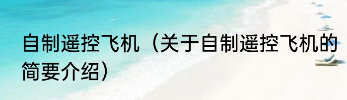 自制遥控飞机（关于自制遥控飞机的简要介绍）