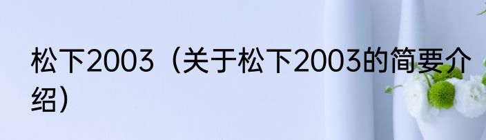 松下2003（关于松下2003的简要介绍）