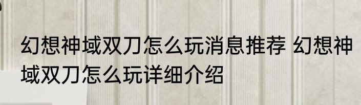 幻想神域双刀怎么玩消息推荐 幻想神域双刀怎么玩详细介绍