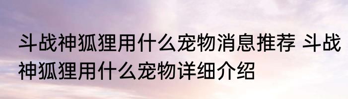 斗战神狐狸用什么宠物消息推荐 斗战神狐狸用什么宠物详细介绍