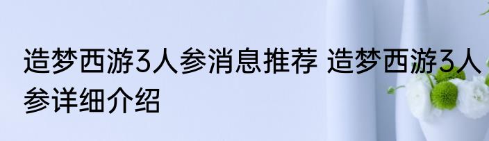 造梦西游3人参消息推荐 造梦西游3人参详细介绍