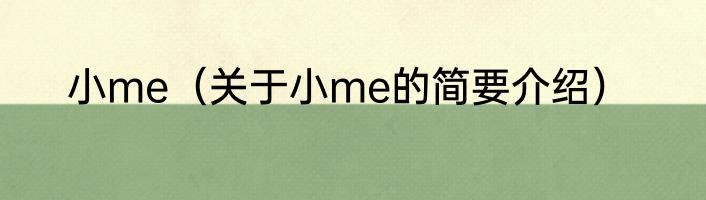小me（关于小me的简要介绍）