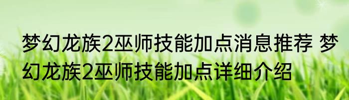 梦幻龙族2巫师技能加点消息推荐 梦幻龙族2巫师技能加点详细介绍