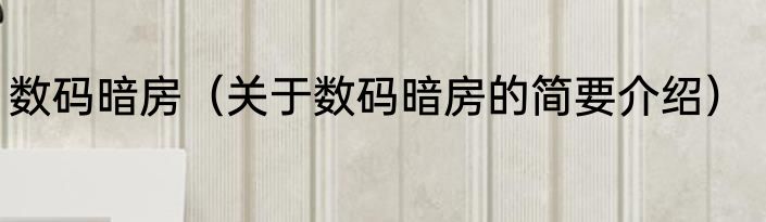 数码暗房（关于数码暗房的简要介绍）