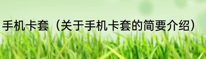 手机卡套（关于手机卡套的简要介绍）