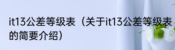 it13公差等级表（关于it13公差等级表的简要介绍）