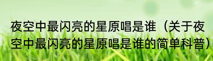 夜空中最闪亮的星原唱是谁（关于夜空中最闪亮的星原唱是谁的简单科普）