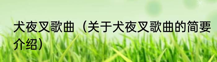 犬夜叉歌曲（关于犬夜叉歌曲的简要介绍）