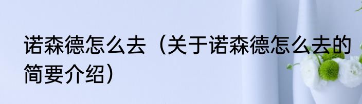 诺森德怎么去（关于诺森德怎么去的简要介绍）