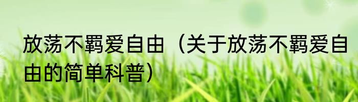 放荡不羁爱自由（关于放荡不羁爱自由的简单科普）