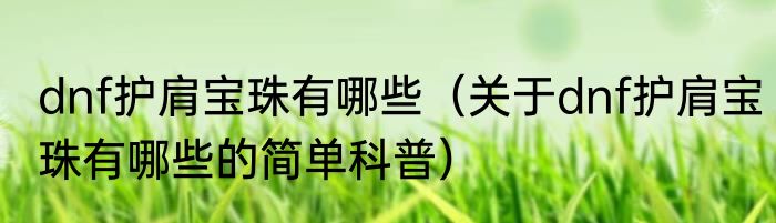 dnf护肩宝珠有哪些（关于dnf护肩宝珠有哪些的简单科普）