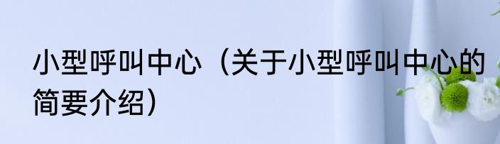 小型呼叫中心（关于小型呼叫中心的简要介绍）