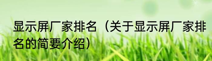 显示屏厂家排名（关于显示屏厂家排名的简要介绍）