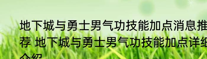 地下城与勇士男气功技能加点消息推荐 地下城与勇士男气功技能加点详细介绍