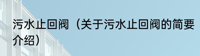 污水止回阀（关于污水止回阀的简要介绍）