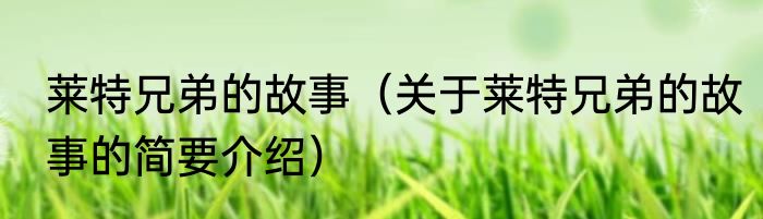 莱特兄弟的故事（关于莱特兄弟的故事的简要介绍）