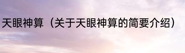 天眼神算（关于天眼神算的简要介绍）