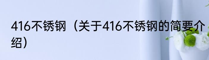 416不锈钢（关于416不锈钢的简要介绍）