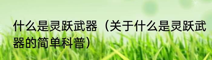 什么是灵跃武器（关于什么是灵跃武器的简单科普）