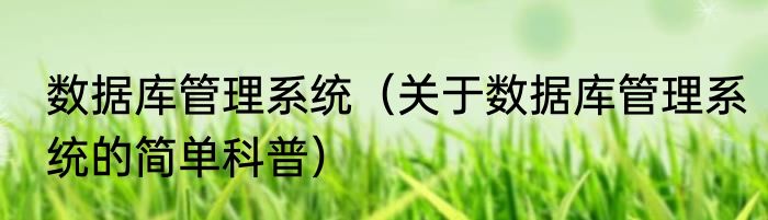 数据库管理系统（关于数据库管理系统的简单科普）