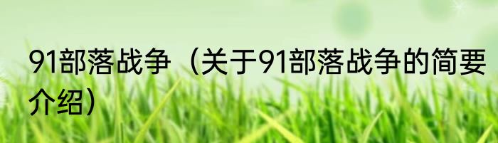 91部落战争（关于91部落战争的简要介绍）