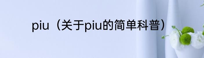 piu（关于piu的简单科普）