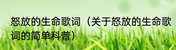 怒放的生命歌词（关于怒放的生命歌词的简单科普）