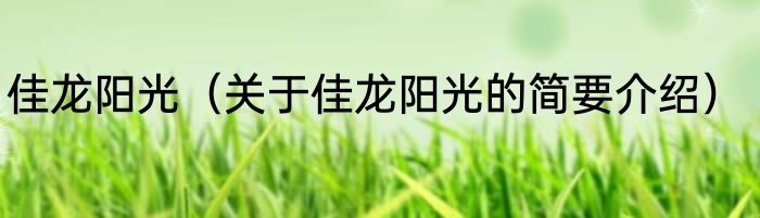 佳龙阳光（关于佳龙阳光的简要介绍）