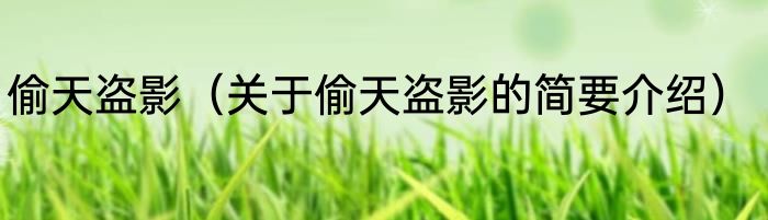 偷天盗影（关于偷天盗影的简要介绍）