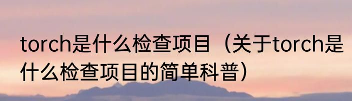 torch是什么检查项目（关于torch是什么检查项目的简单科普）