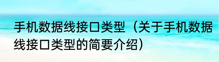 手机数据线接口类型（关于手机数据线接口类型的简要介绍）