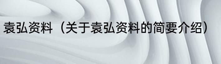 袁弘资料（关于袁弘资料的简要介绍）