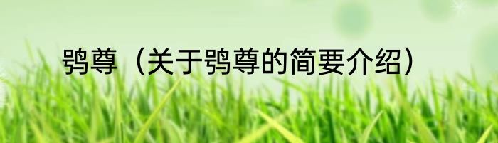 鸮尊（关于鸮尊的简要介绍）