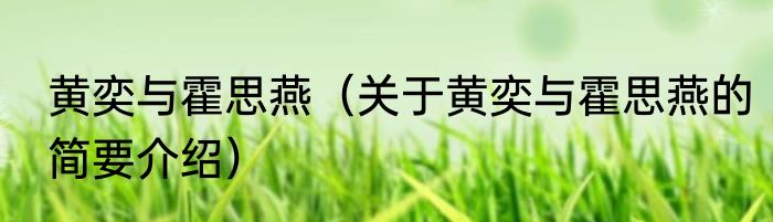 黄奕与霍思燕（关于黄奕与霍思燕的简要介绍）