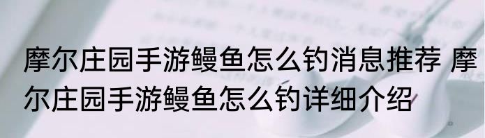 摩尔庄园手游鳗鱼怎么钓消息推荐 摩尔庄园手游鳗鱼怎么钓详细介绍