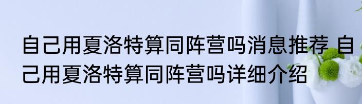 自己用夏洛特算同阵营吗消息推荐 自己用夏洛特算同阵营吗详细介绍