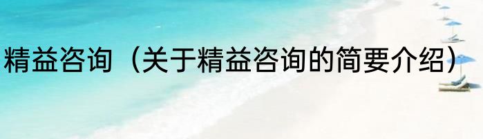 精益咨询（关于精益咨询的简要介绍）