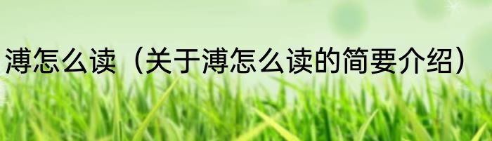 溥怎么读（关于溥怎么读的简要介绍）