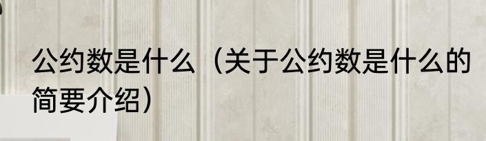 公约数是什么（关于公约数是什么的简要介绍）