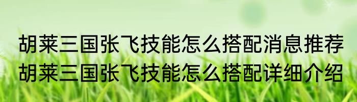 胡莱三国张飞技能怎么搭配消息推荐 胡莱三国张飞技能怎么搭配详细介绍