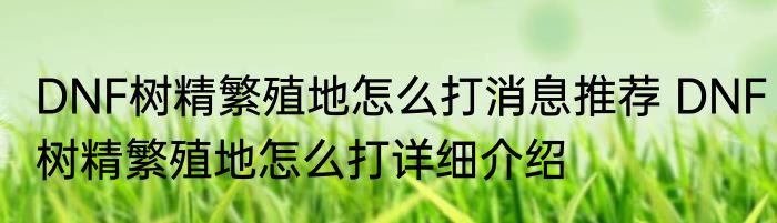 DNF树精繁殖地怎么打消息推荐 DNF树精繁殖地怎么打详细介绍