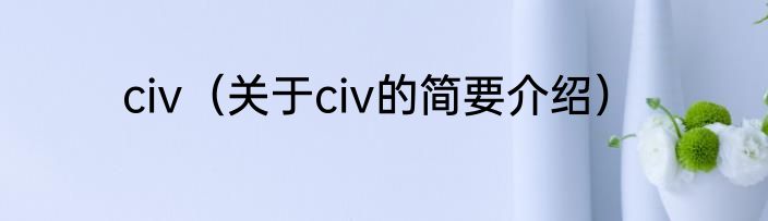 civ（关于civ的简要介绍）