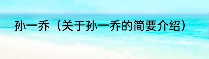 孙一乔（关于孙一乔的简要介绍）